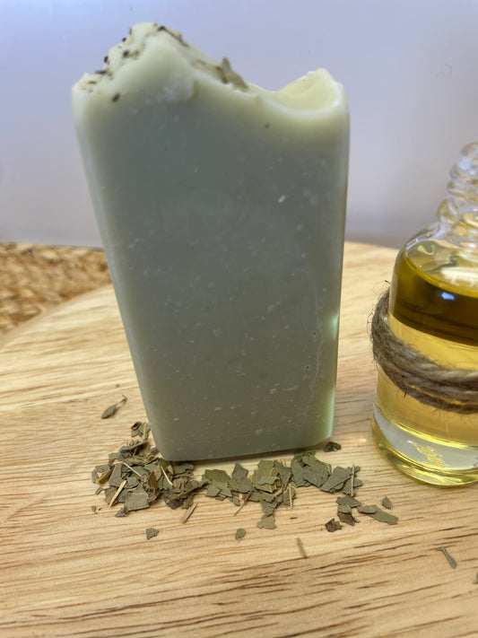 Eucalyptus Tea Tree & Mint Aloe Soap - Starlight Soapery 